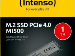 1TB Intenso MI500 M.2 SSD 3836460