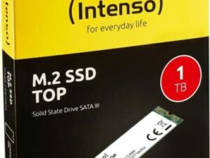 1TB Intenso Top M.2 SSD 3832460