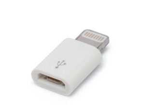 Apple Lightning microUSB konverter Delight 55448