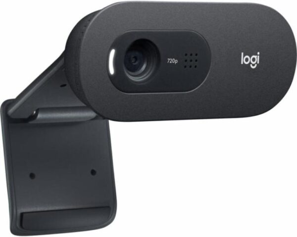 Logitech C505e HD