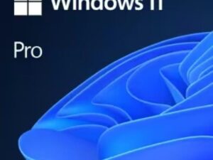 Windows 11 Pro 64bit Hun.