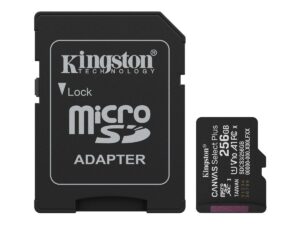 KINGSTON 256GB microSDXC Canvas Select