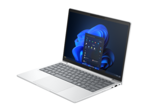 HP EliteBook 8 G1i 13 13.3" WUXGA AG UWVA, Ultra5-225U 1.5GHz, 16GB, 512GB, Win 11 Prof.