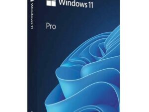 MICROSOFT Windows 11 Pro FPP 64-bit Hungarian USB