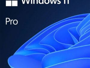 MICROSOFT Windows 11 Pro 64Bit Hungarian 1pk DSP OEI DVD