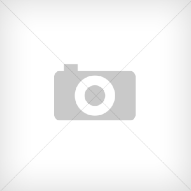 Logitech Z150 2.0 fekete hangfal